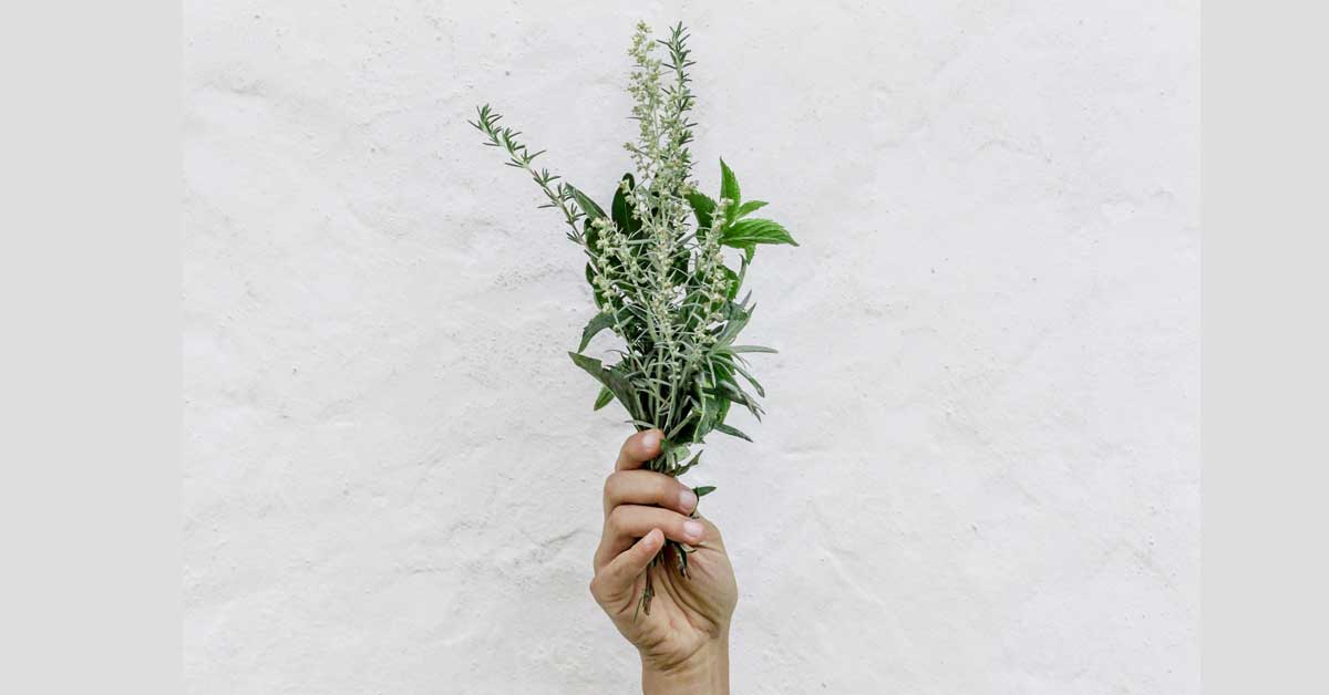  Naučite kako se koristi žalfija za lice!